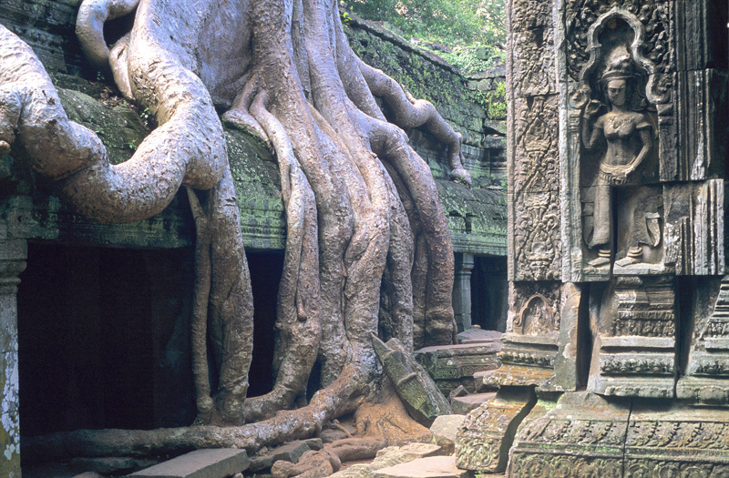 Kambodscha / Tempelstadt Angkor