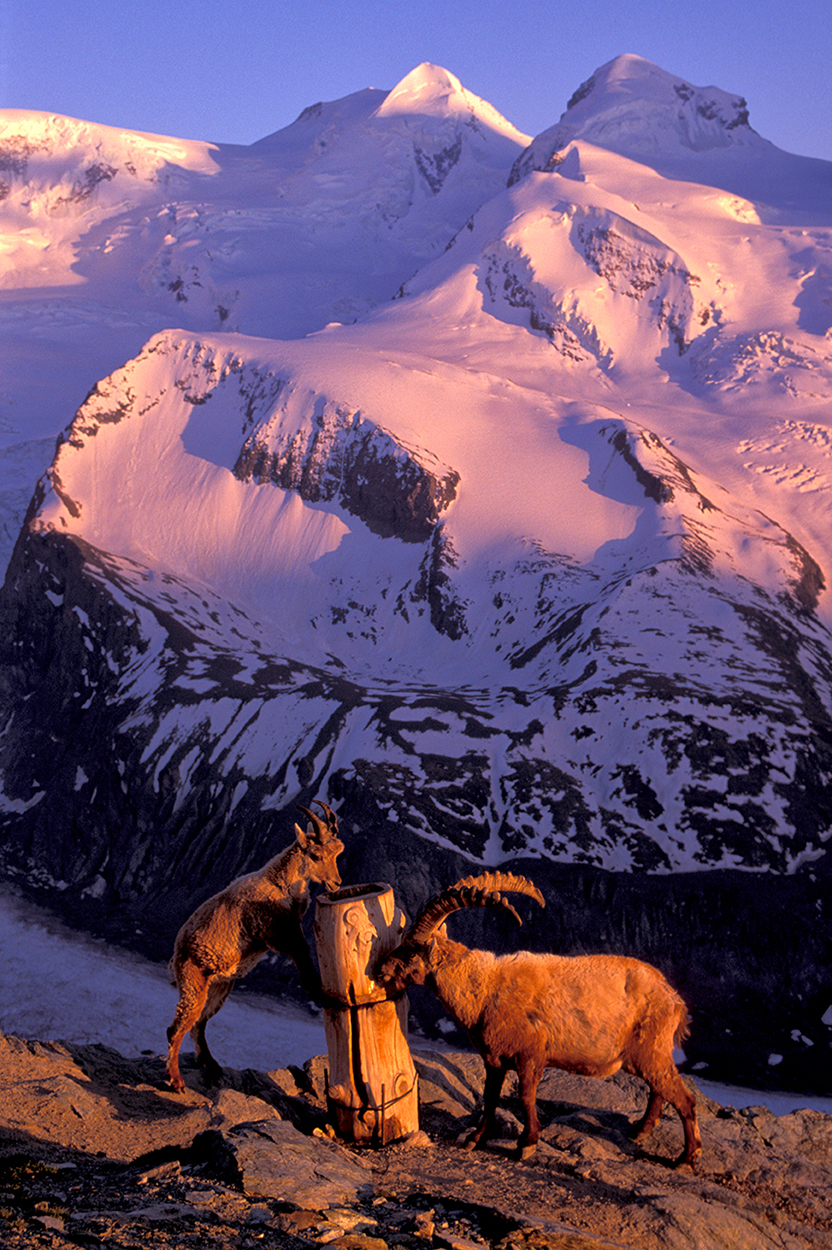 Alps