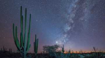 Privater Foto Kurs in Baja California