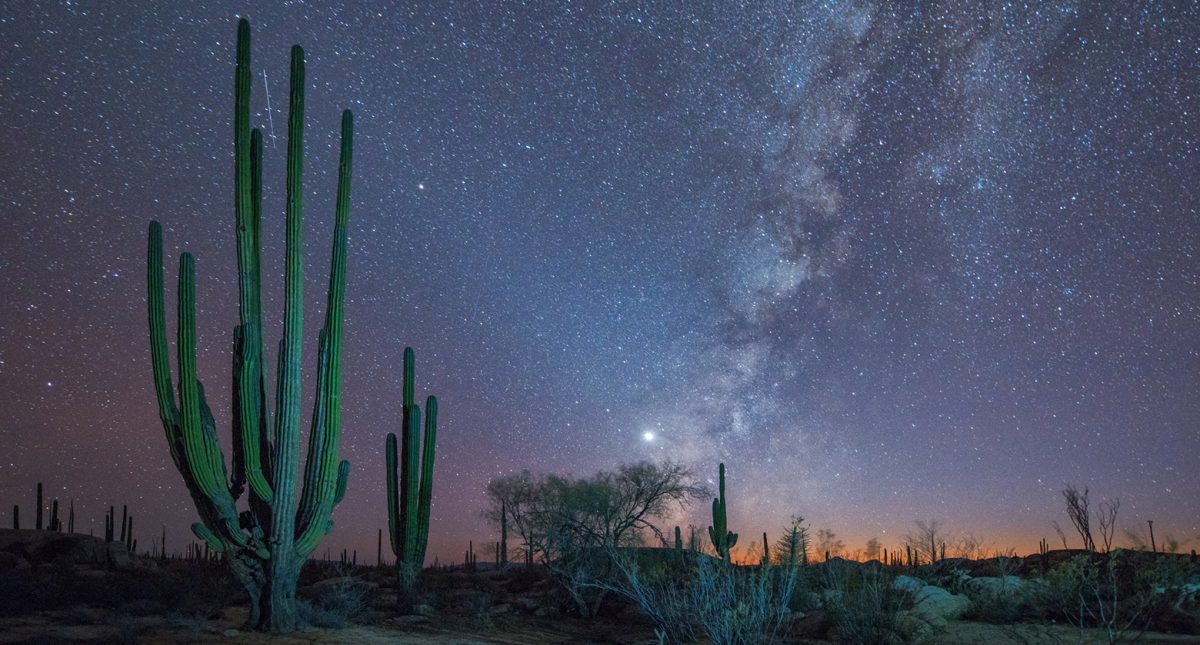 Baja