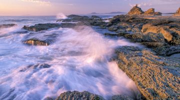 Naturparadies Tasmanien Foto Reise 2021