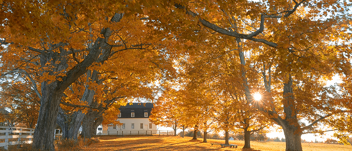 New England