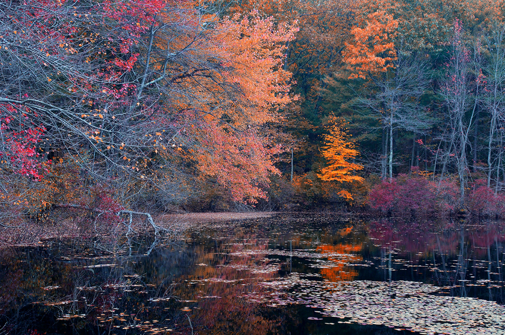 Walden Pond