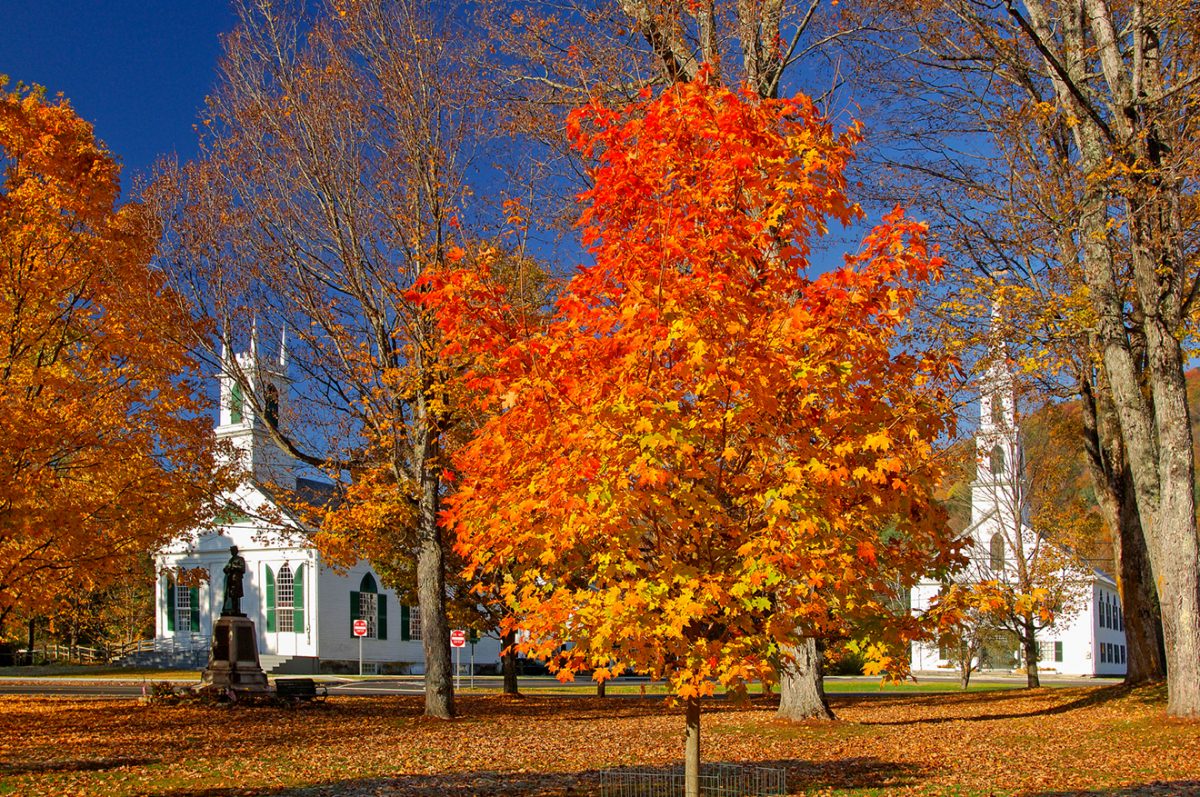 Newfane
