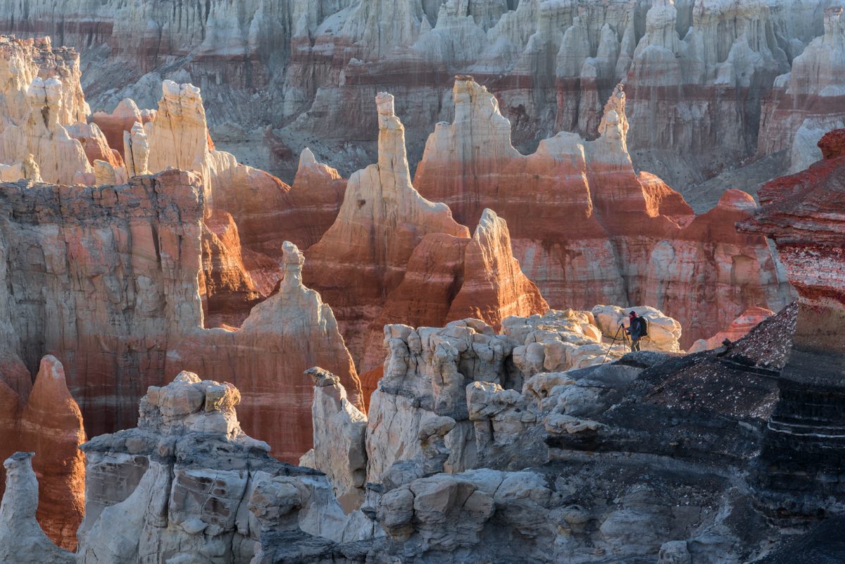 Arizona