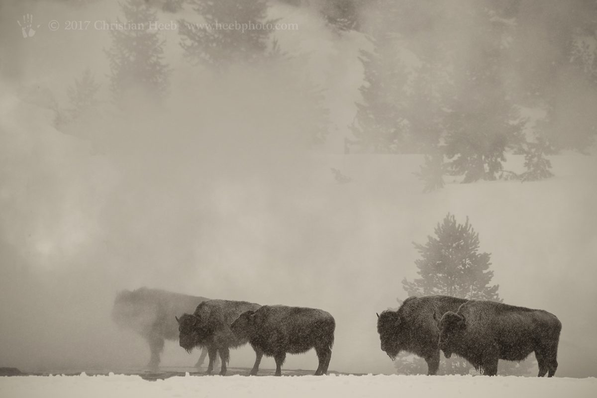 Wyoming