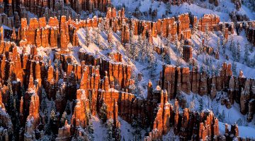 Winter in den Canyons Foto Reise 2020