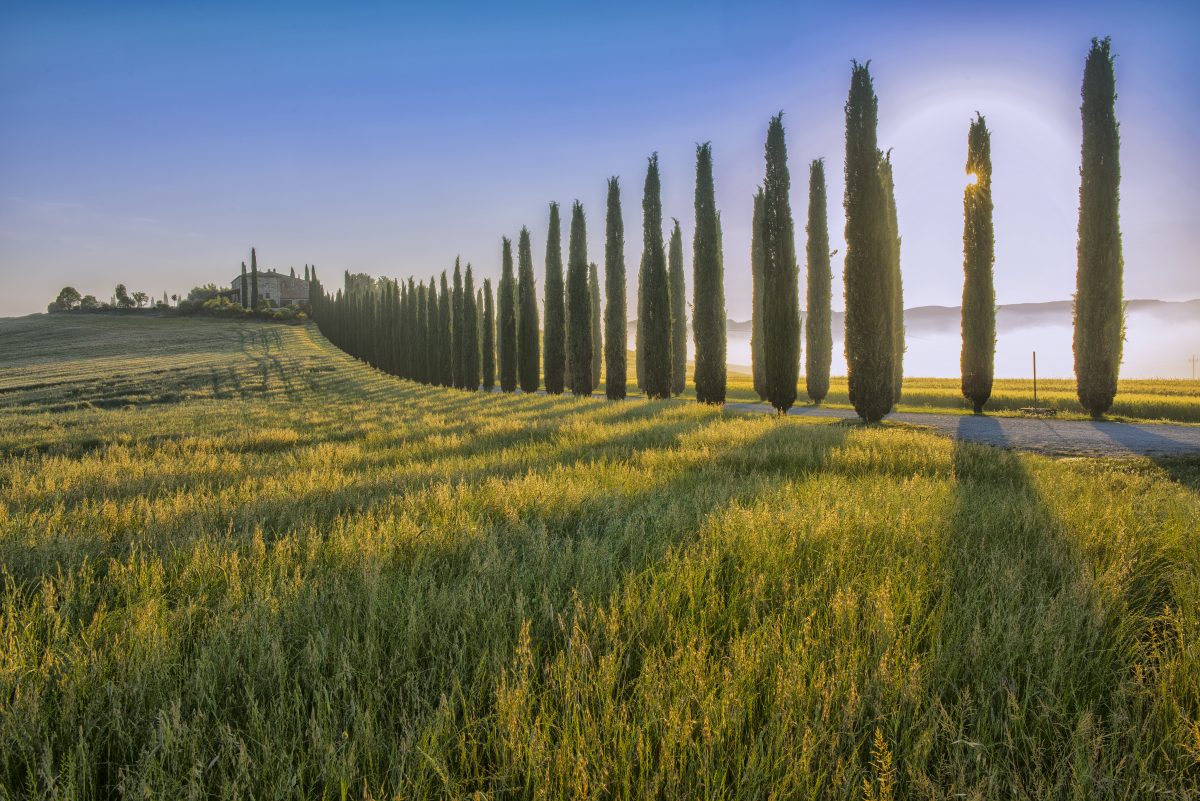 Tuscany