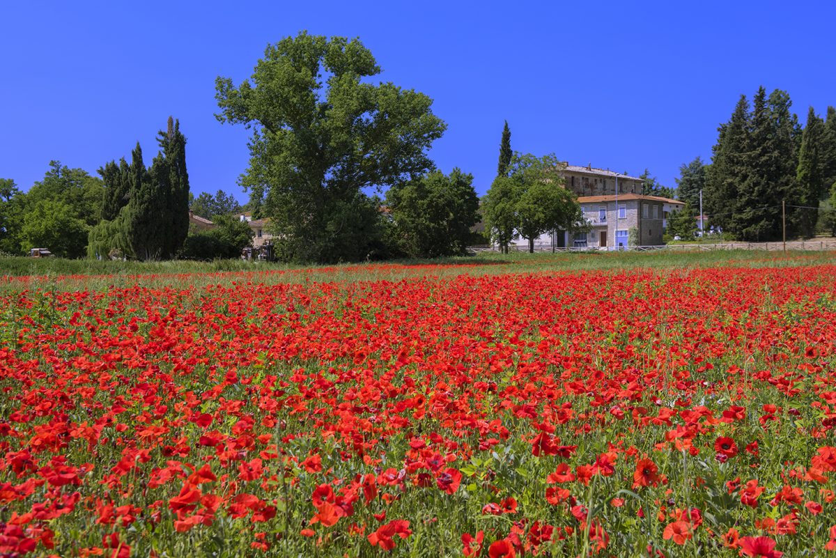 Tuscany