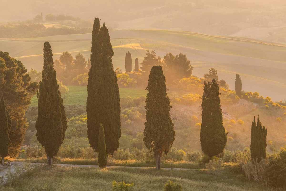 Toscana