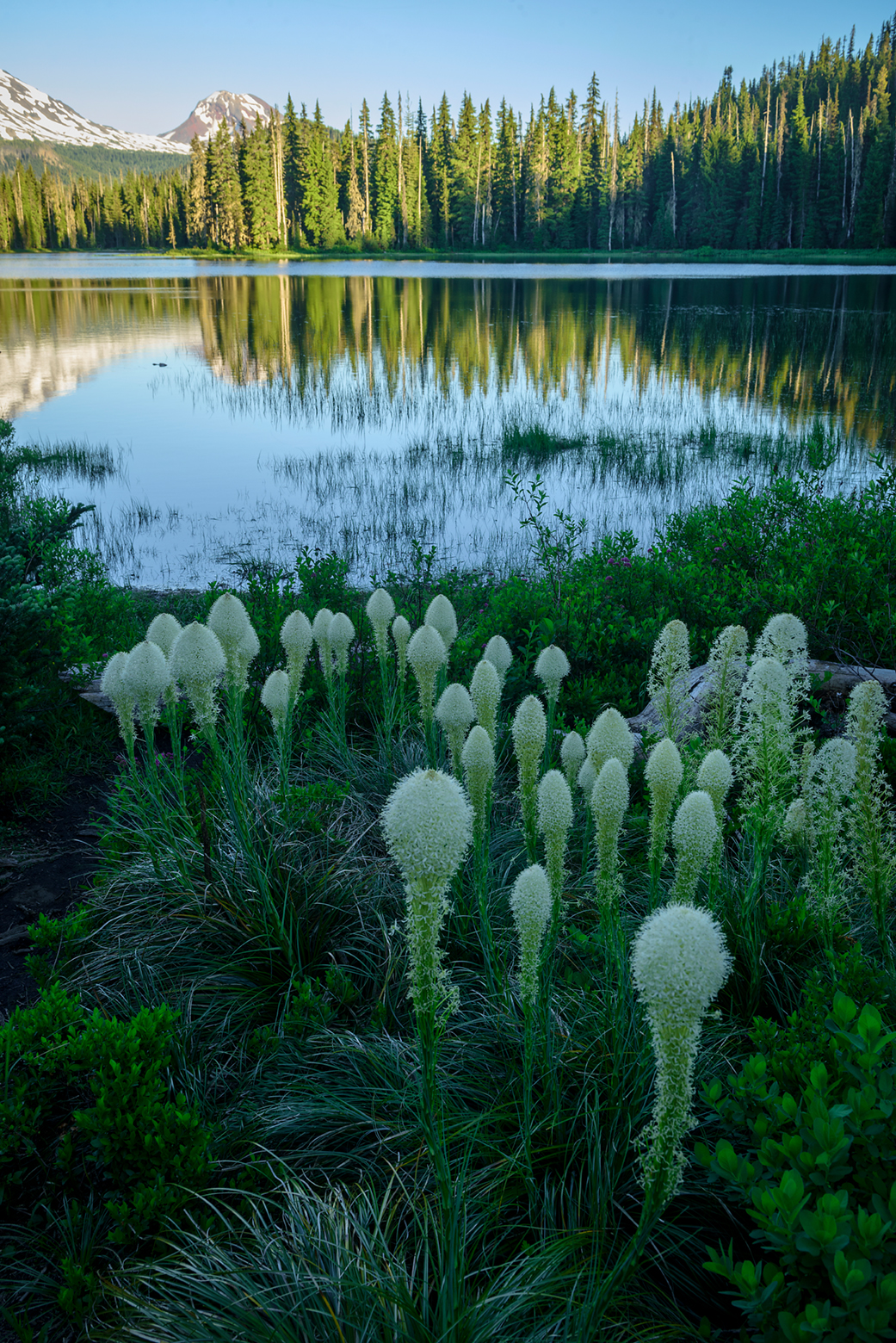 Oregon