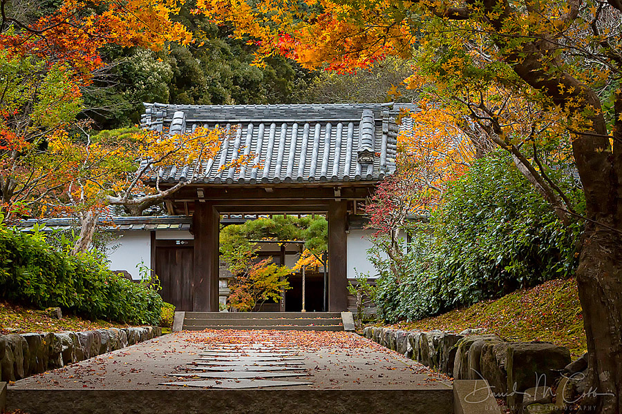 Magisches Japan Foto Reise 2021