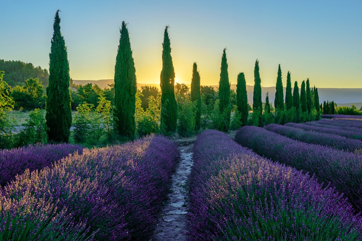 Foto Workshops Provence 2020