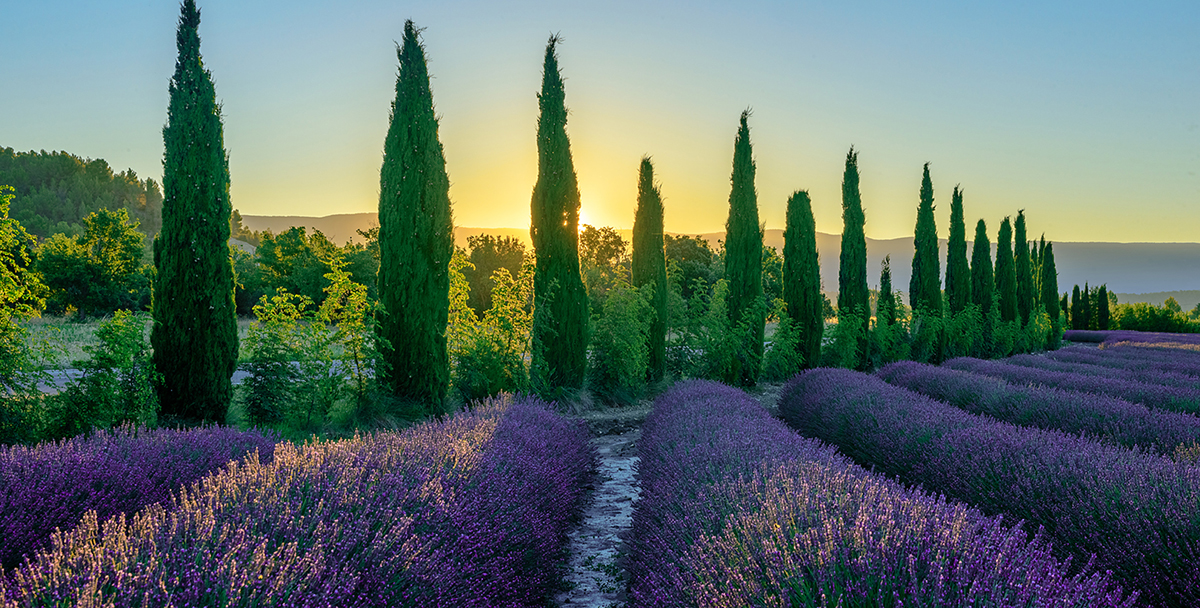 France