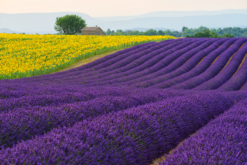 France