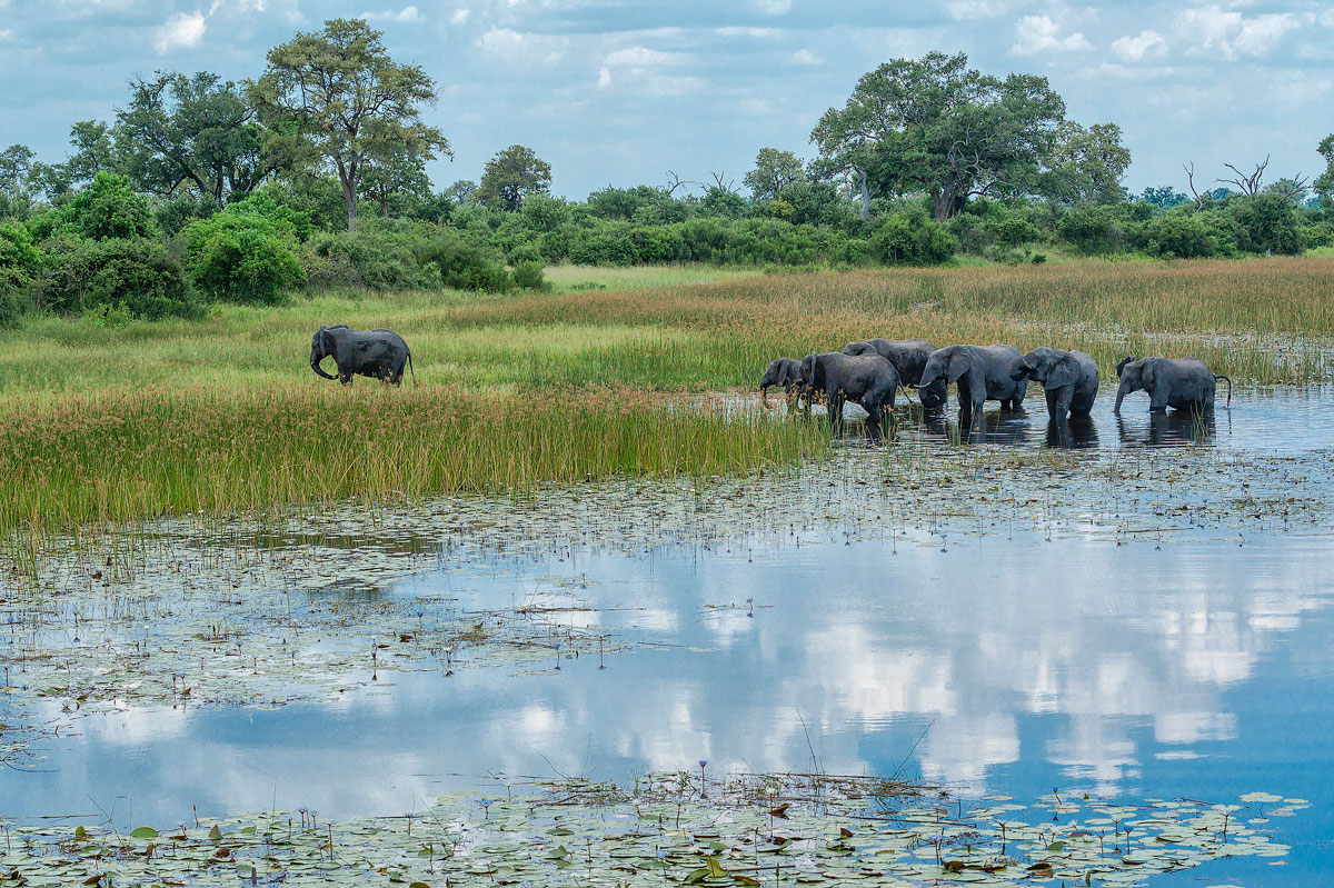 Africa
