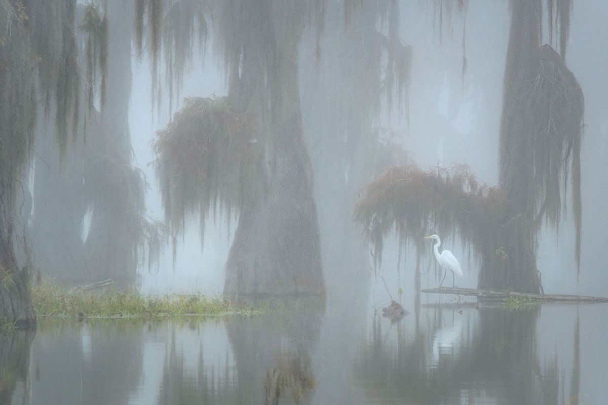 Natures Paradise